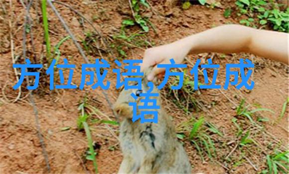 锦上添花