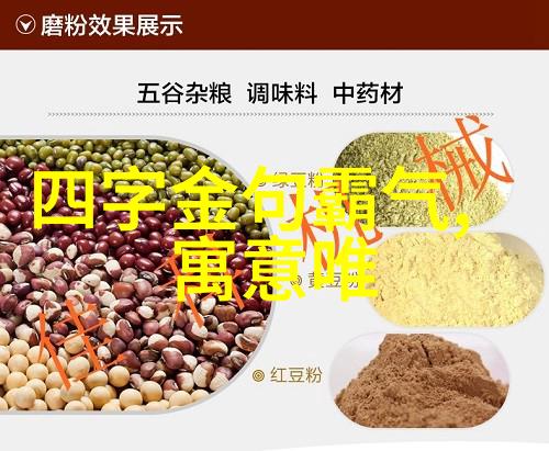 使愚使过的成语解释意思