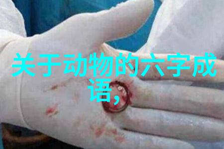 通权达理