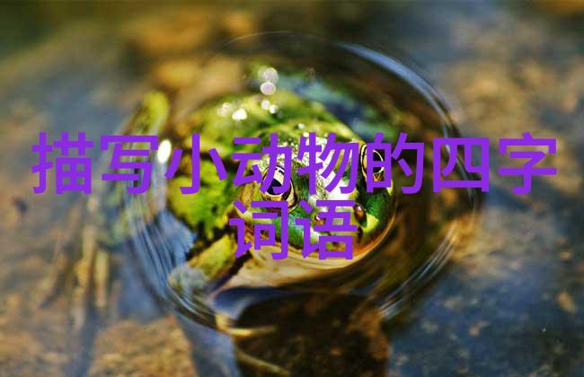 五音六律的解释出处造句