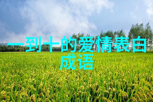 金戈铁甲