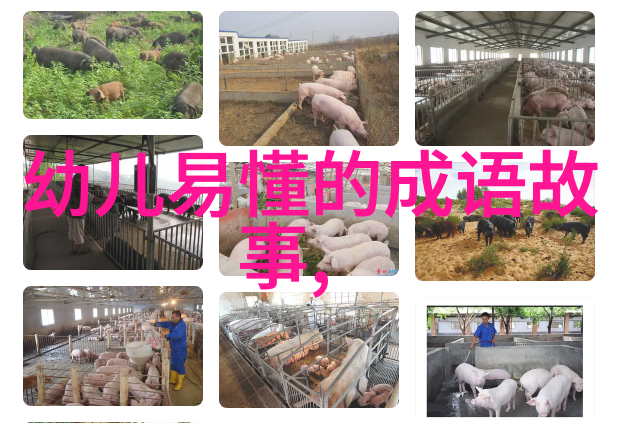 通幽洞微