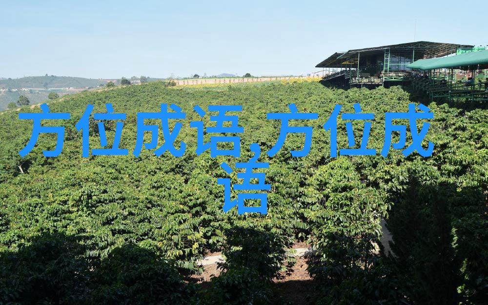 返观内照