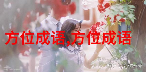 镜里采花
